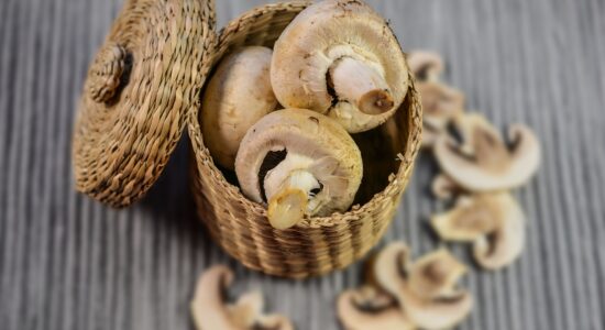 funghi