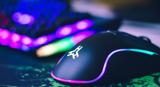mouse