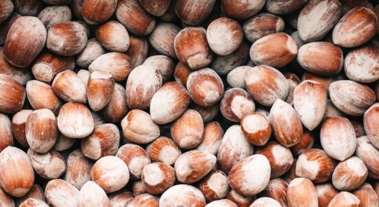 nocciole