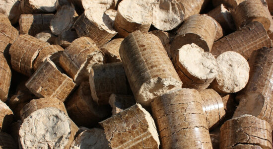 pellet