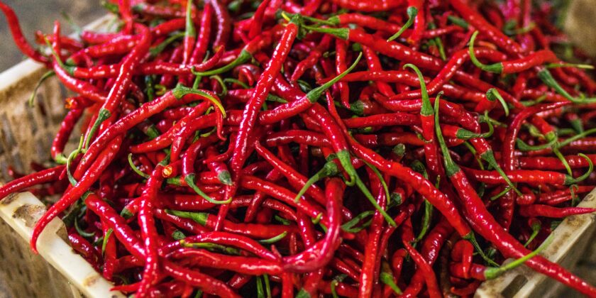 peperoncino