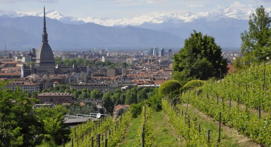 piemontese