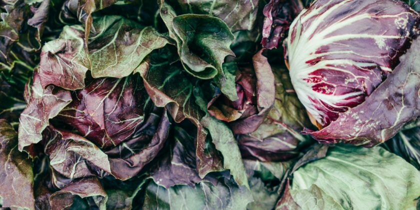 radicchio