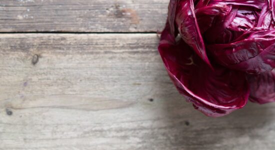 radicchio
