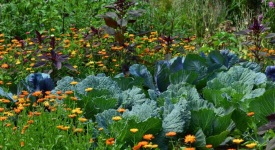 verdure