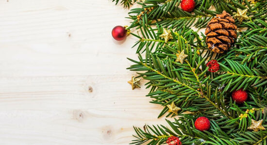 particolare dell'addobbo di un albero di Natale