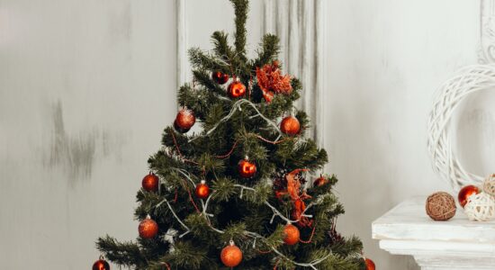 albero