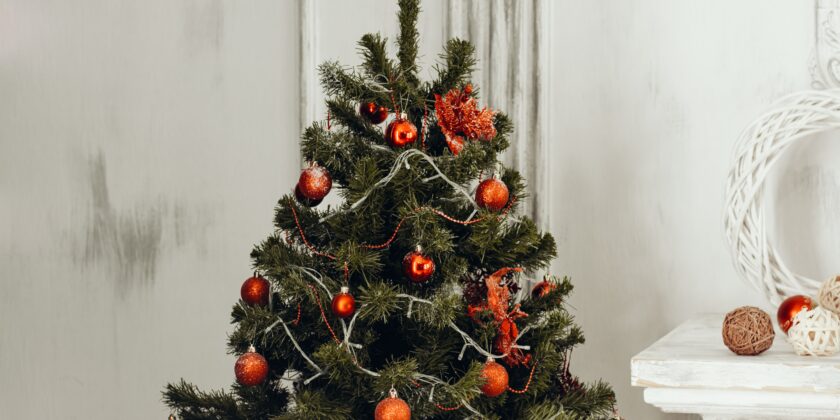 albero