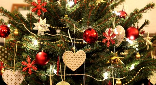 albero