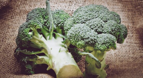 broccoli