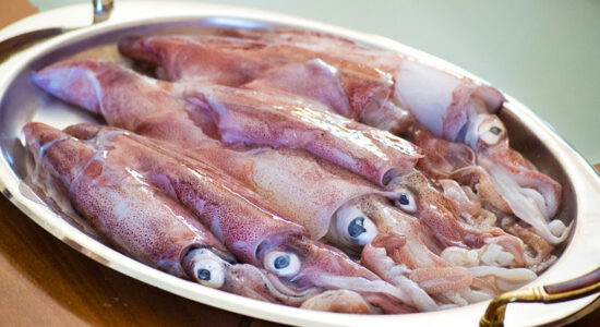 calamari