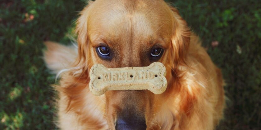 cane