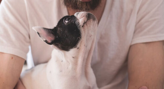 cane e padroncino