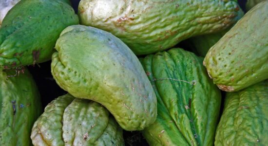 chayote