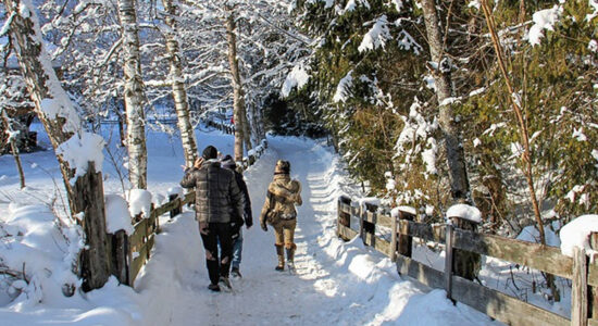 persone con giaccone antifreddo