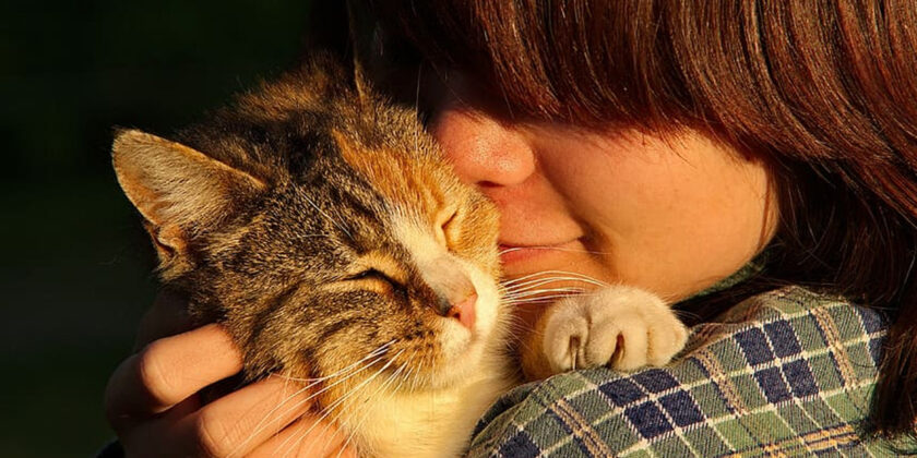 un gatto coccolato dalla padroncina