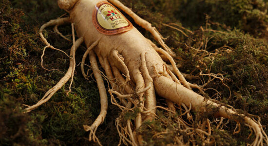 ginseng