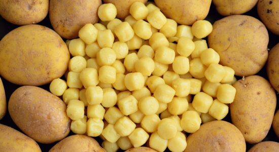 gnocchi