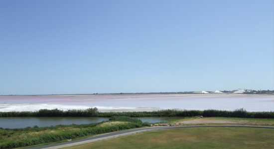 Le saline di Aigues Mortes