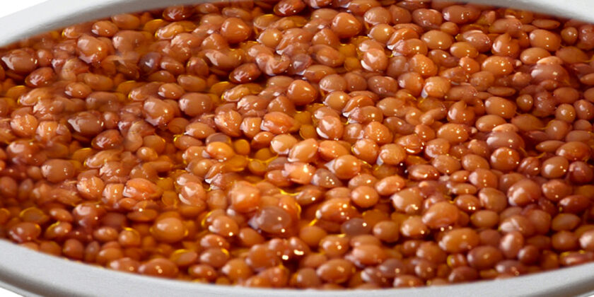 un piatto di lenticchie in umido