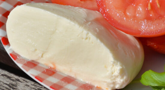 mozzarella
