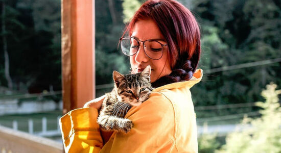 passeggiata con il gatto