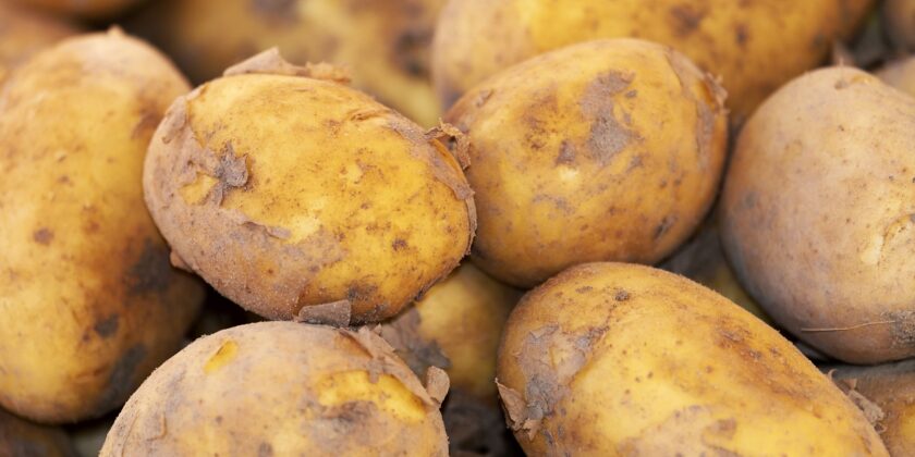 patate
