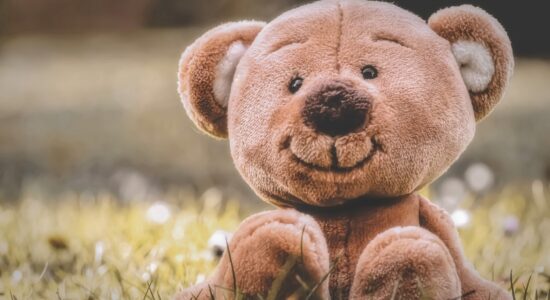 peluche