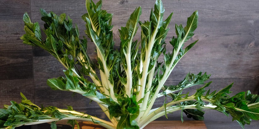 puntarelle