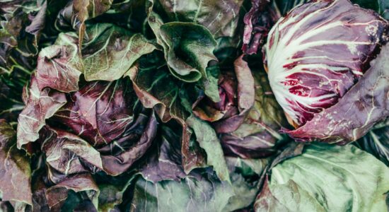 radicchio