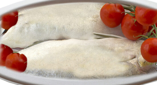 ricciola di mare