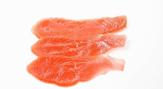 salmone