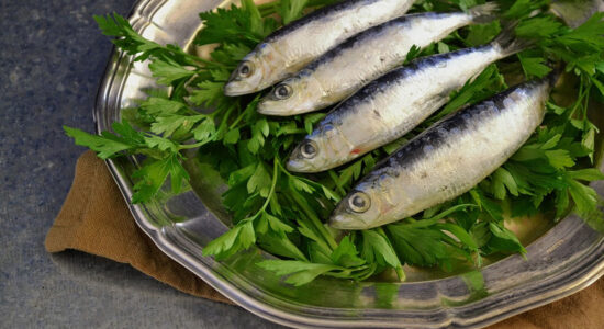 quattro sardine nel piatto