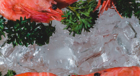 scampi