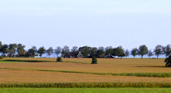 terreno agricolo