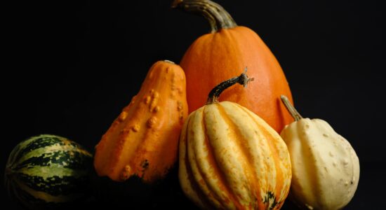 zucca