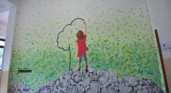 raccolta differenziata