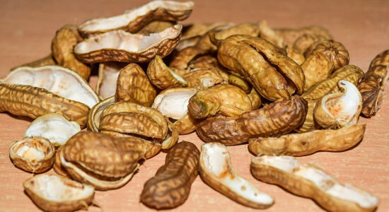 gusci delle arachidi