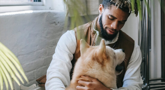 cane e padrone