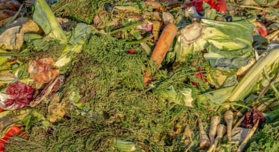 compost