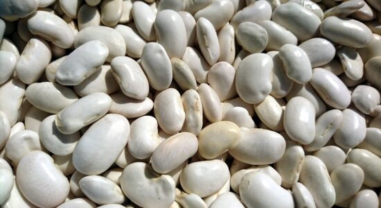 fagioli