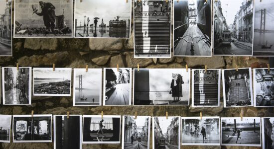 fotografie