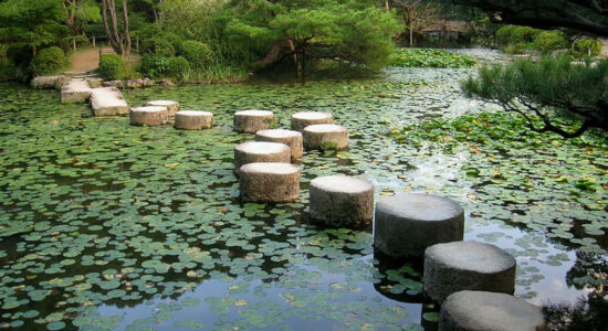 giardino di roccia