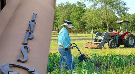 INPS agricoltura