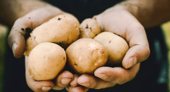 patate