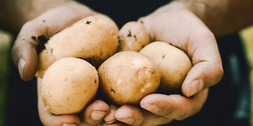 patate