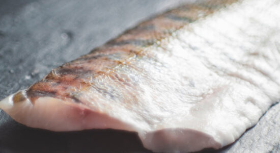 pesce