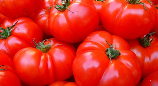 pomodoro