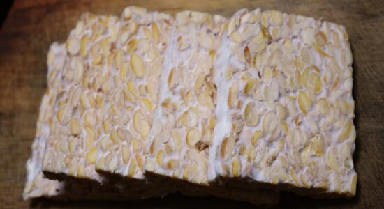 tempeh