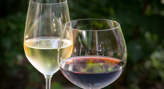 vino